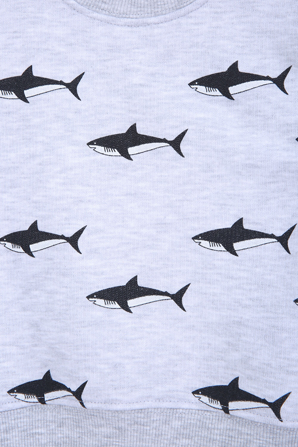 Shark Çocuk Sweatshirt Gri_3