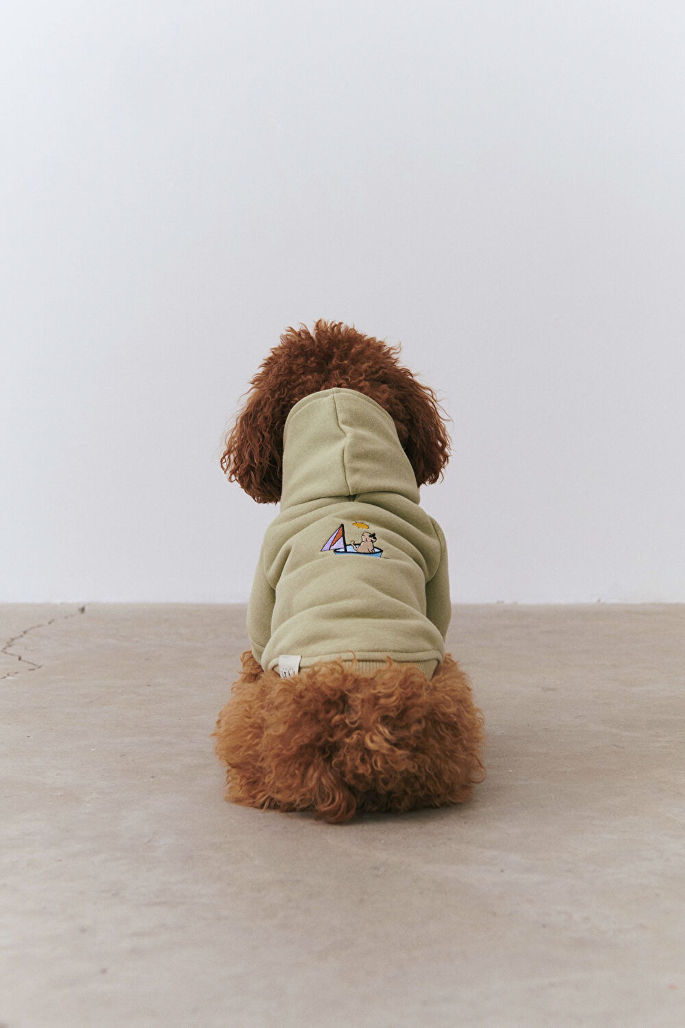 Köpek Sweatshirt_4