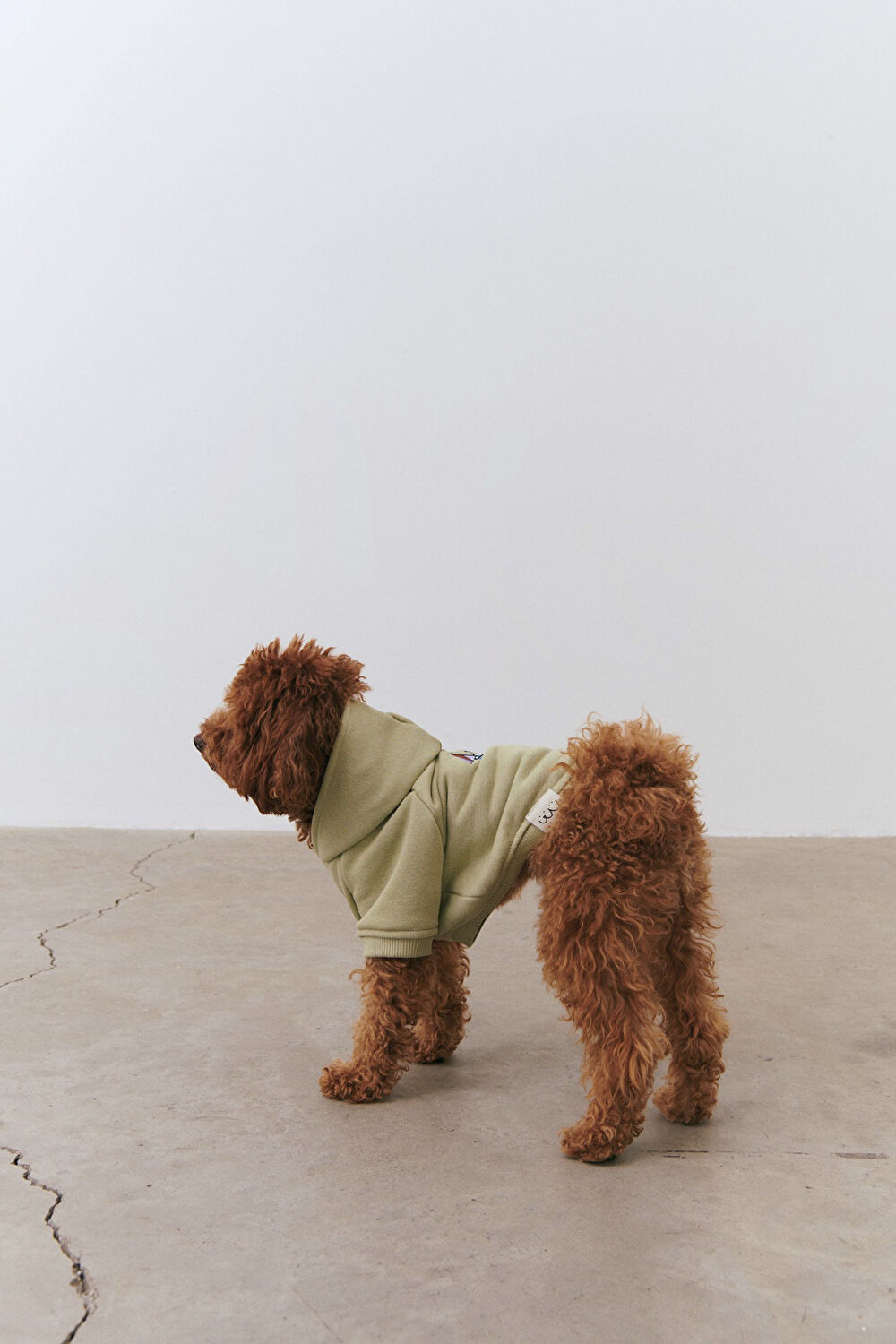 Köpek Sweatshirt_6