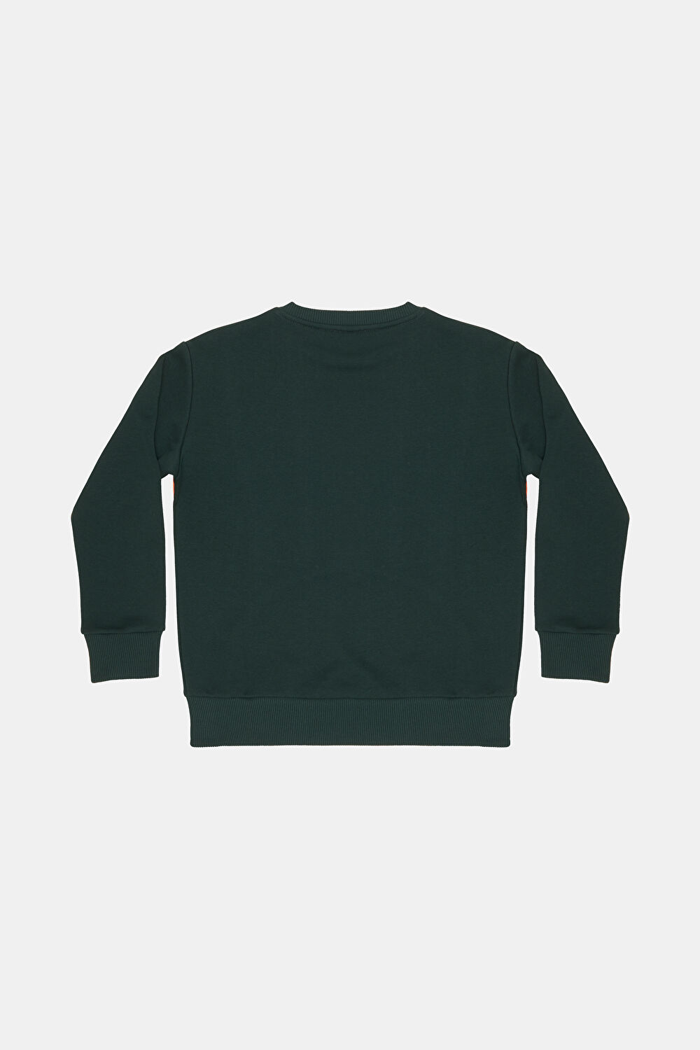 Erkek Çocuk Sweatshirt_2