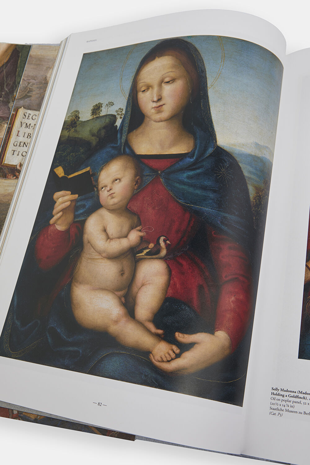 Raphael. The Complete Works_7