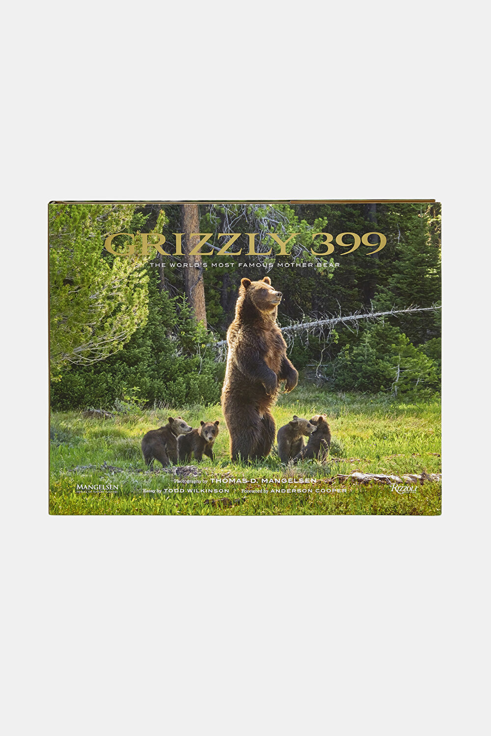 Grizzly 399_0