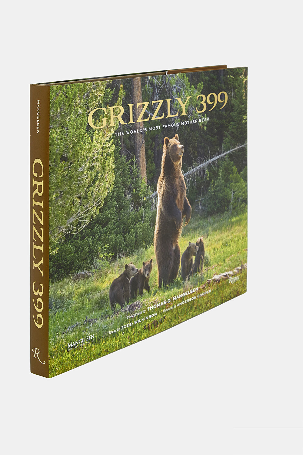 Grizzly 399_2