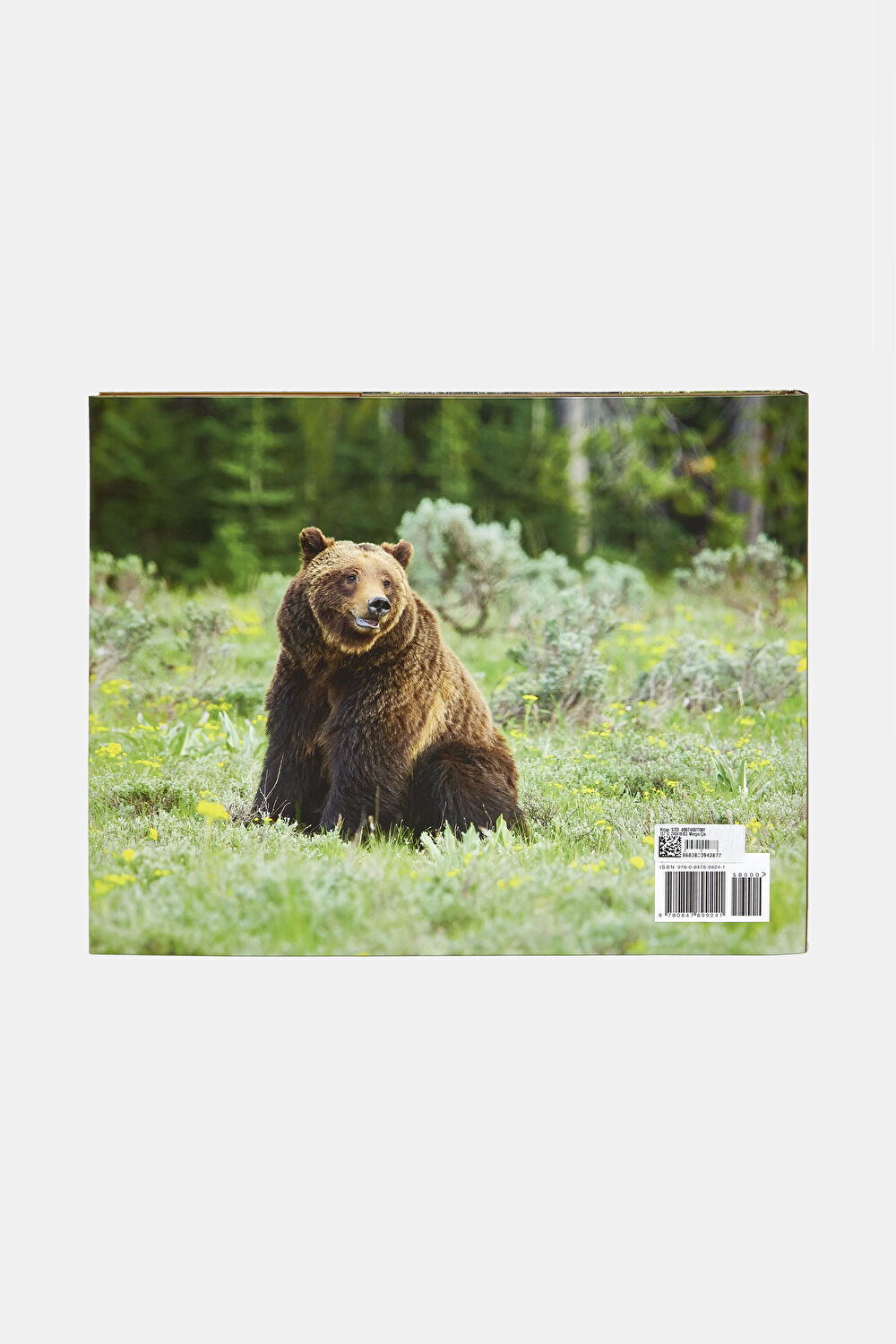 Grizzly 399_3