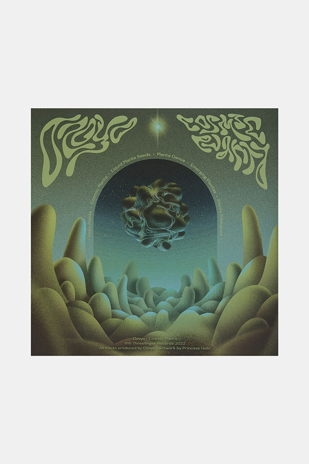 Ozoyo Cosmic Planta_4