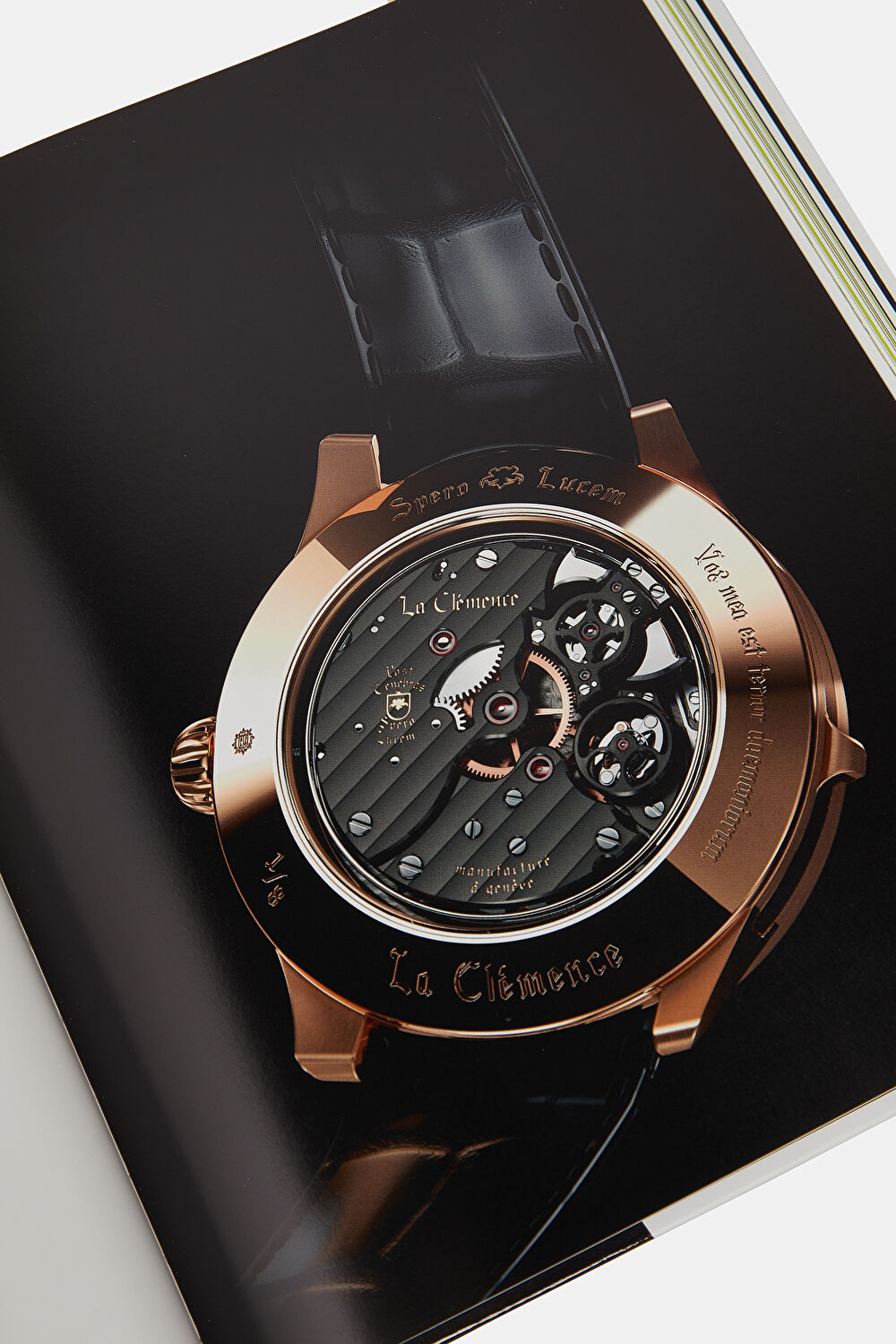 The World's Most Expensive Watches_13