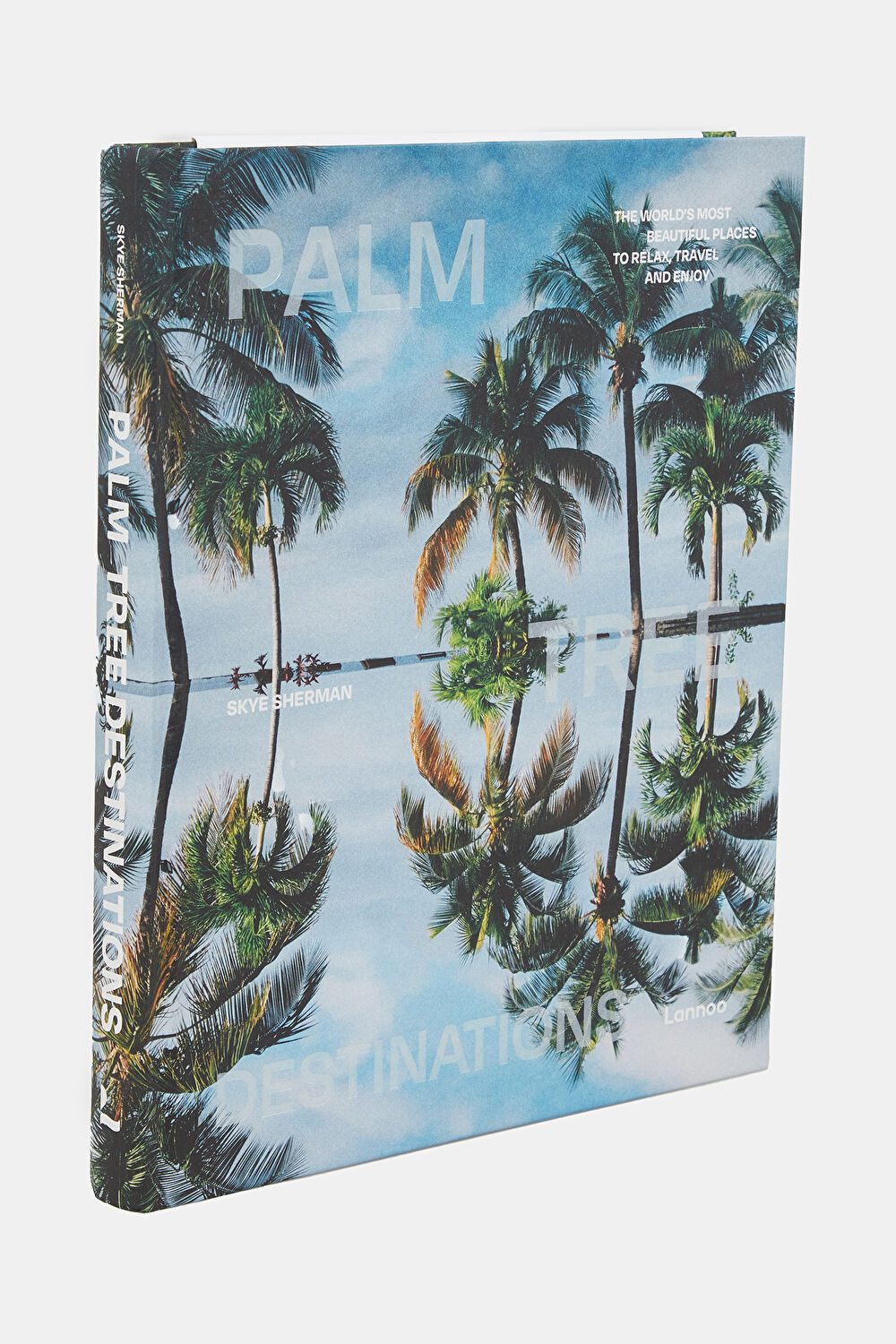 Palm Tree Destinations_2