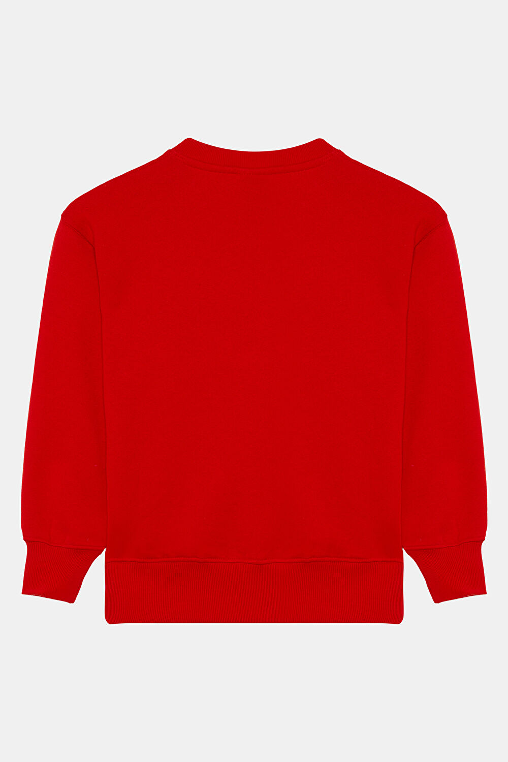 Çok Renkli Bisiklet Yaka Sweatshirt_2