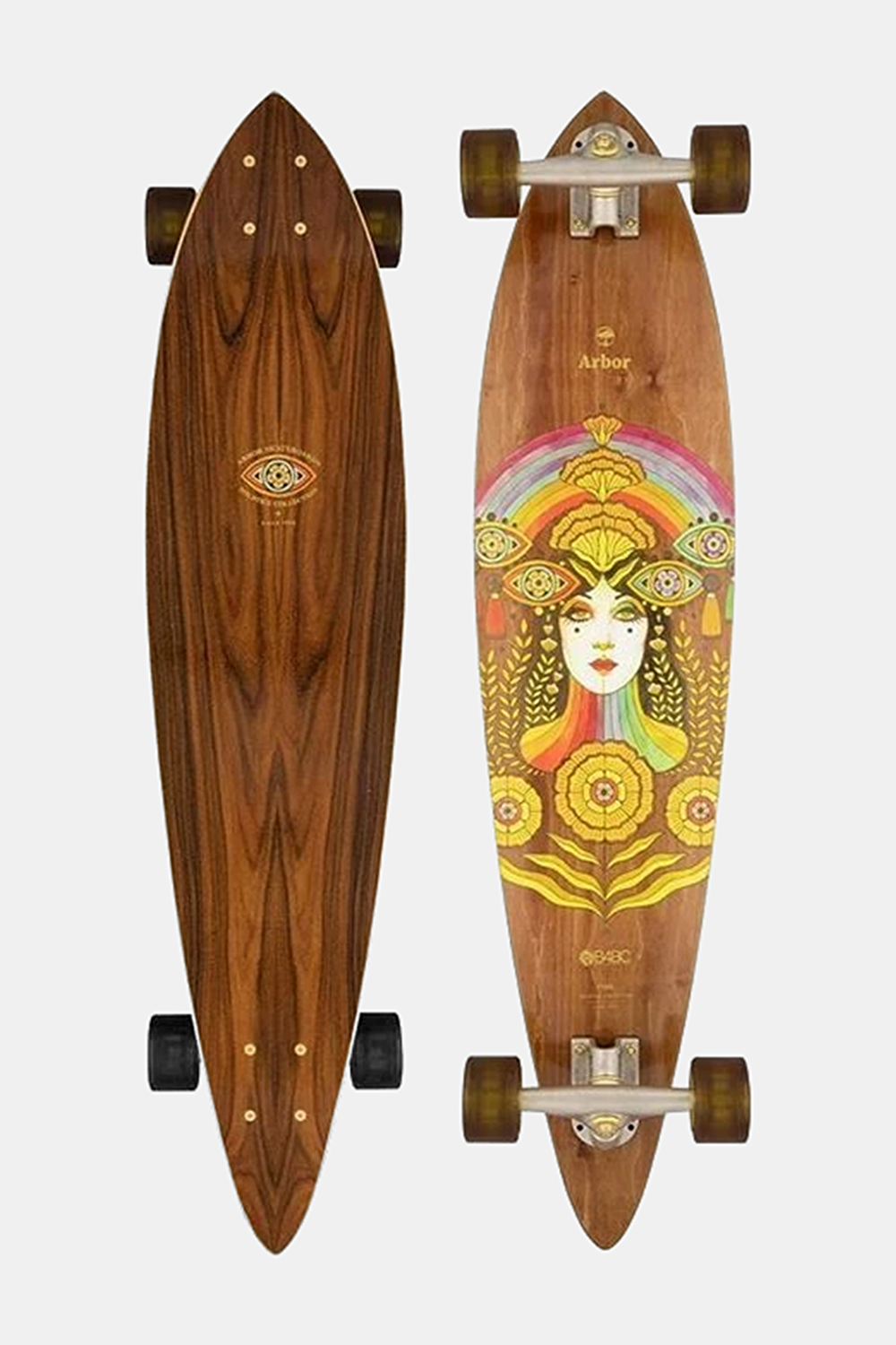 Solstice Fish Longboard Kaykay_0