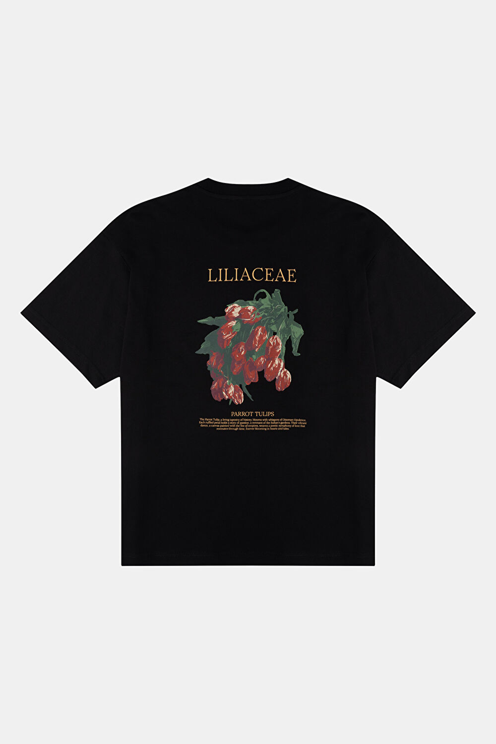 Liliaceae Relax Kalıp Siyah Bisiklet Yaka Baskılı T-Shirt_2