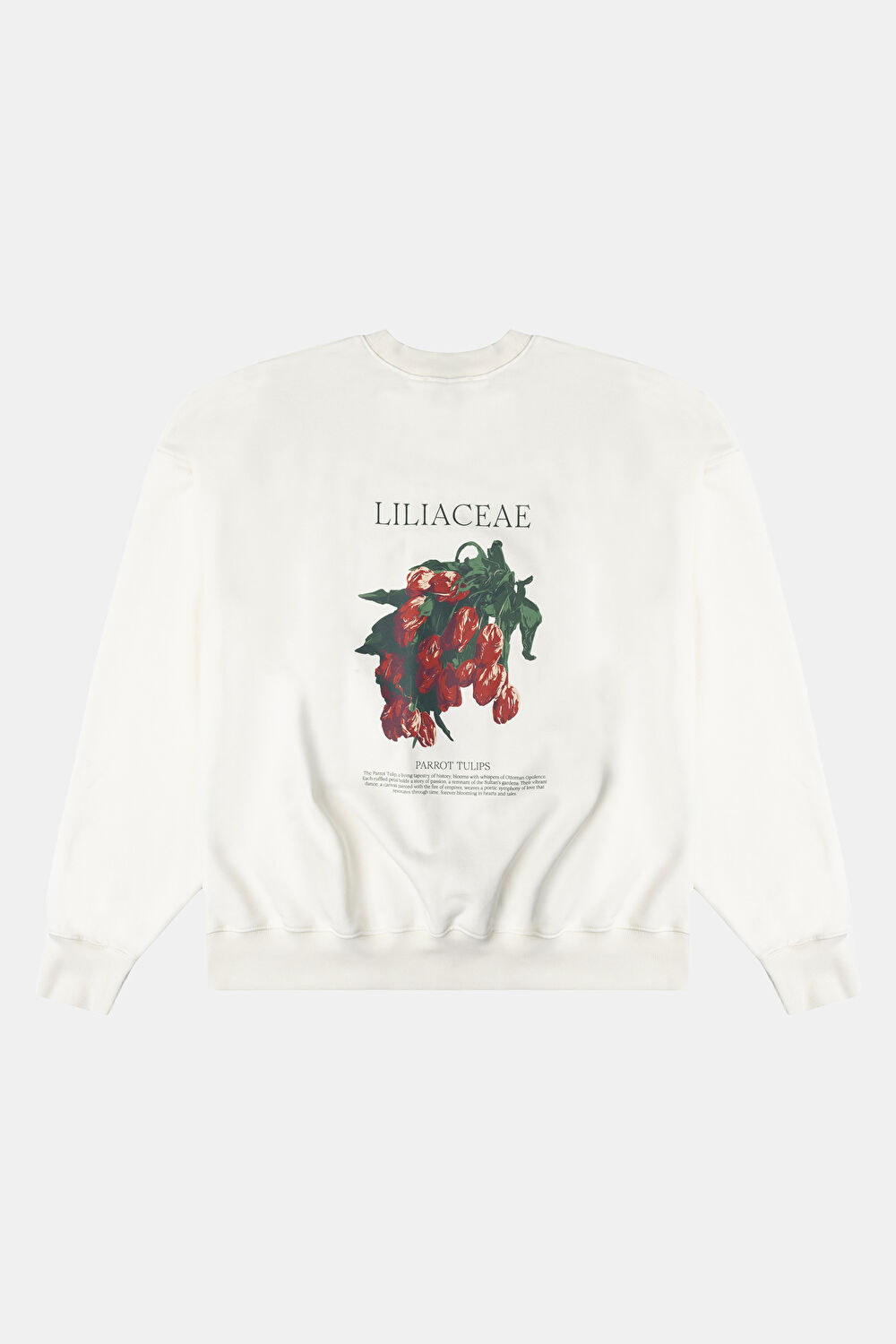 Liliaceae Ekru Relax Kalıp Bisiklet Yaka Sweatshirt_2