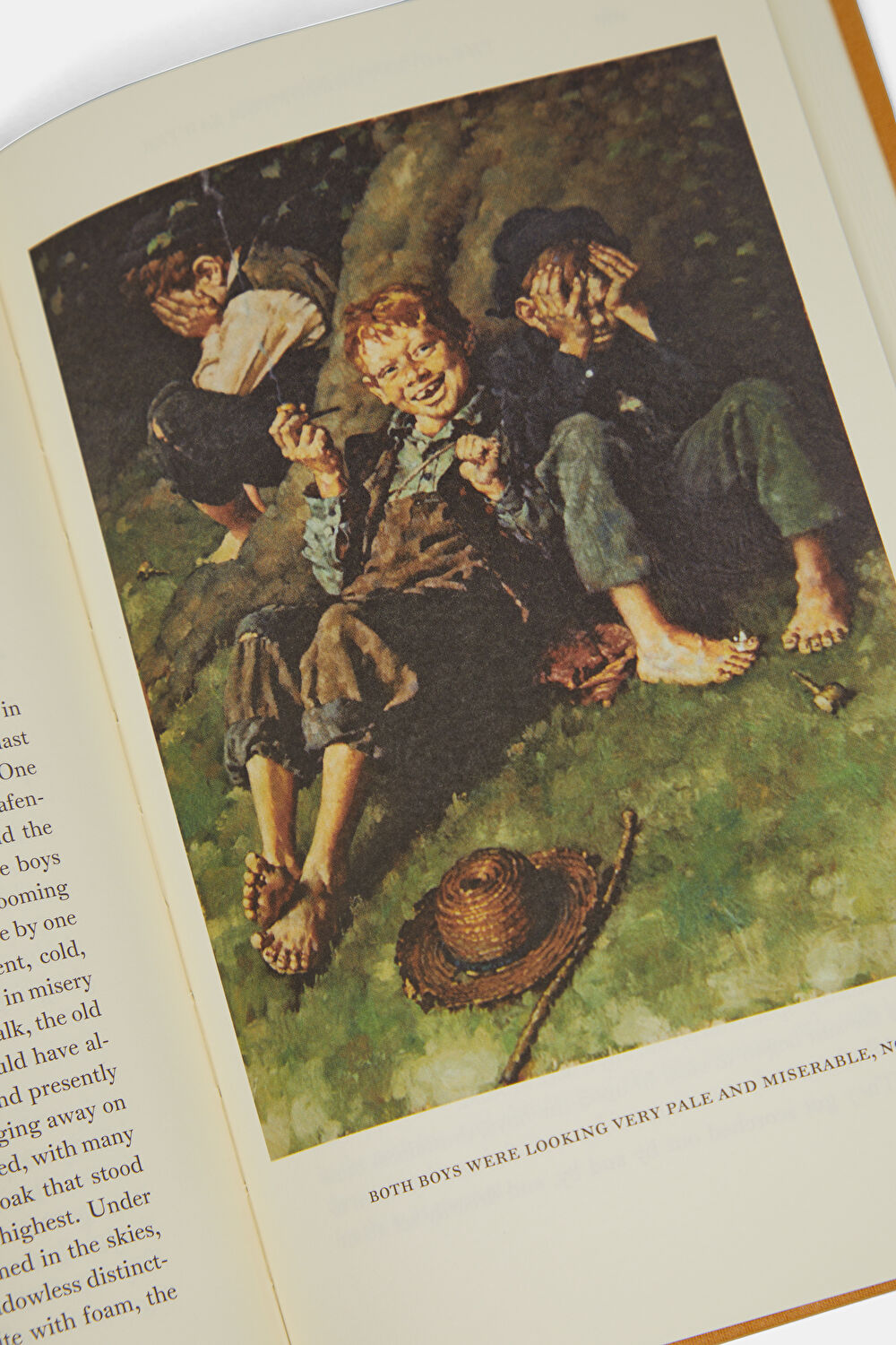 The Adventures of Tom Sawyer and Huckleberry Finn_8