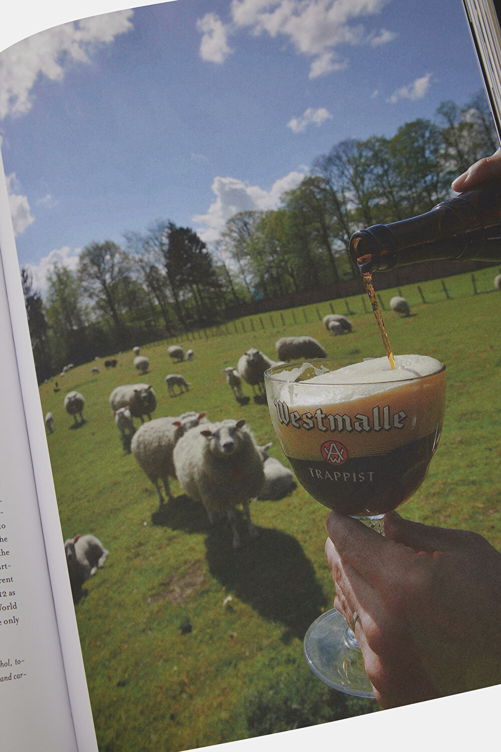 The Belgian Beer Book_10