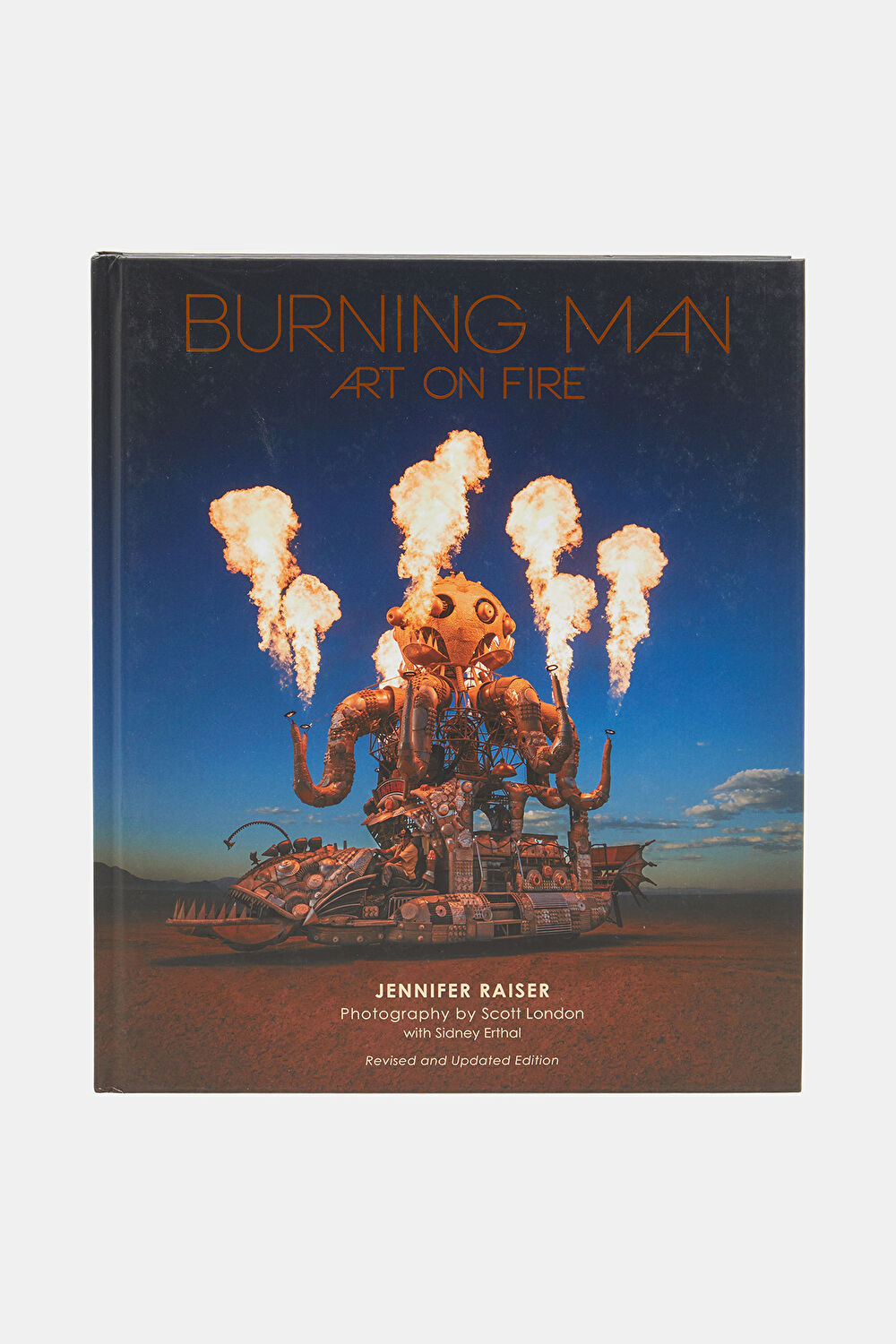 Burning Man: Art on Fire_0