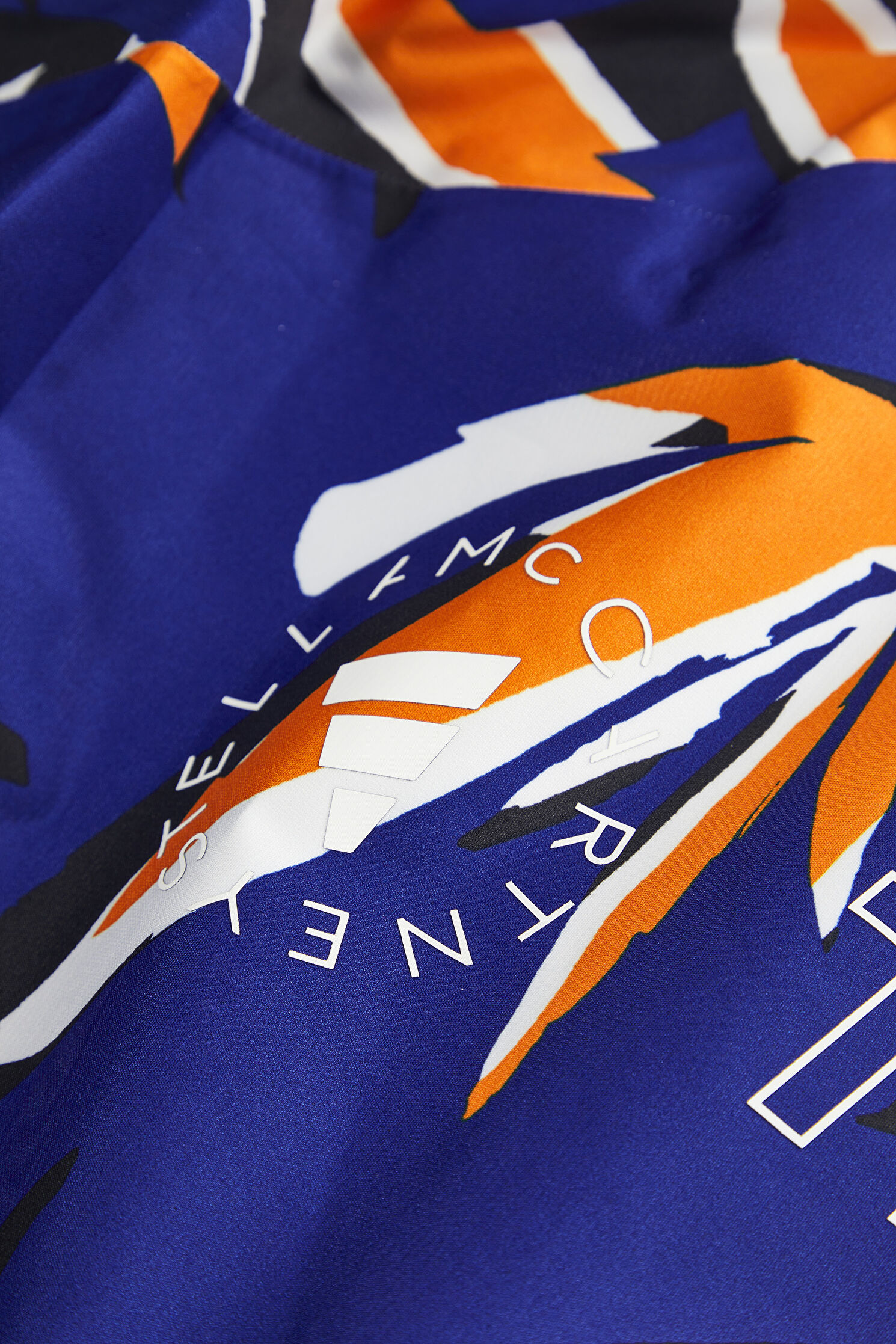 Kadın Adıdas Stella Mccartney X Terrex Truenature Çok Renkli Mont