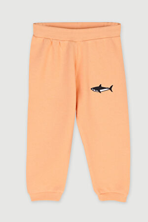 Shark Çocuk Sweatpants Turuncu