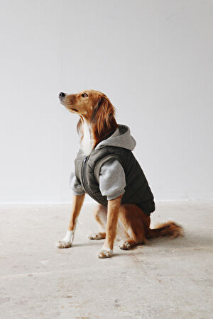 Köpek Puffer Mont