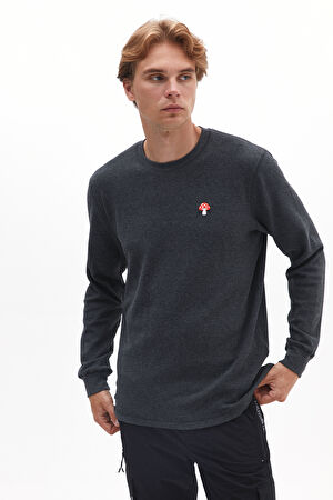 Antrasit Bisiklet Yaka Desenli T-Shirt
