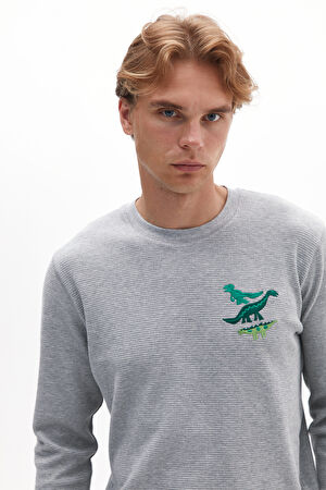 Antrasit Bisiklet Yaka Desenli T-Shirt_2