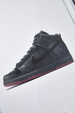 Nike Sb : The Dunk Book_11