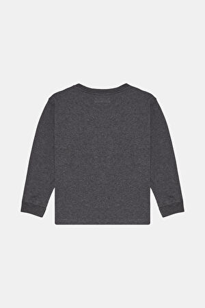 Antrasit Bisiklet Yaka T-Shirt_3