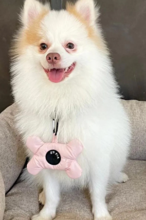 Osso Pet Aksesuar_2