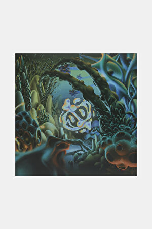 Ozoyo Cosmic Planta