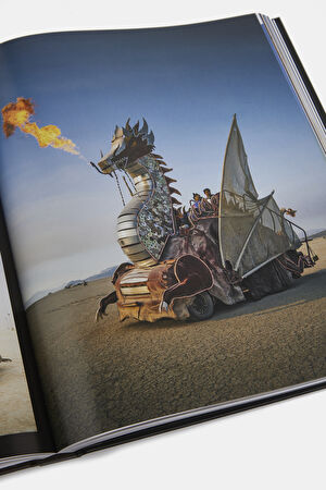 Burning Man: Art on Fire_8