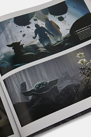 Star Wars Mandalorian 2_11