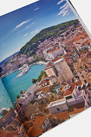 Palm Tree Destinations_8