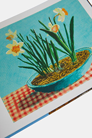 David Hockney_6