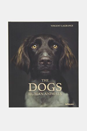 The Dogs