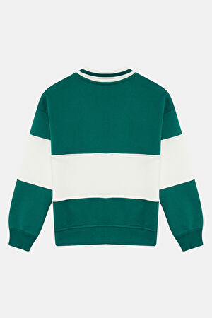 Çok Renkli Sweatshirt_2