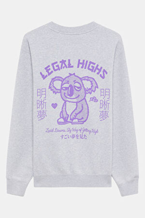 Gri Relax Kalıp Bisiklet Yaka Sweatshirt_2