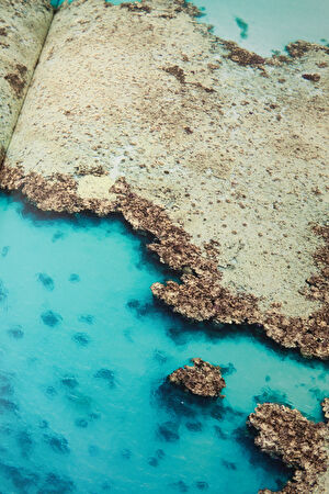 Saudi Arabia: Red Sea_6