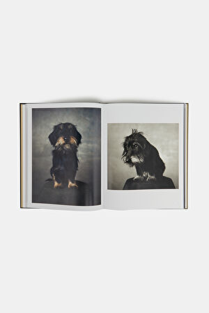 The Dogs_8