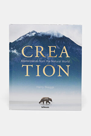 Creation