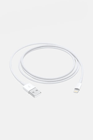 Lightning 1m USB Kablosu