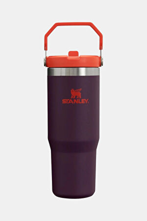The IceFlow Flip Straw Pipetli Termos Bardak 0,89 Lt