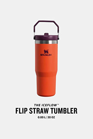 The IceFlow Flip Straw Pipetli Termos Bardak 0,89 Lt_3
