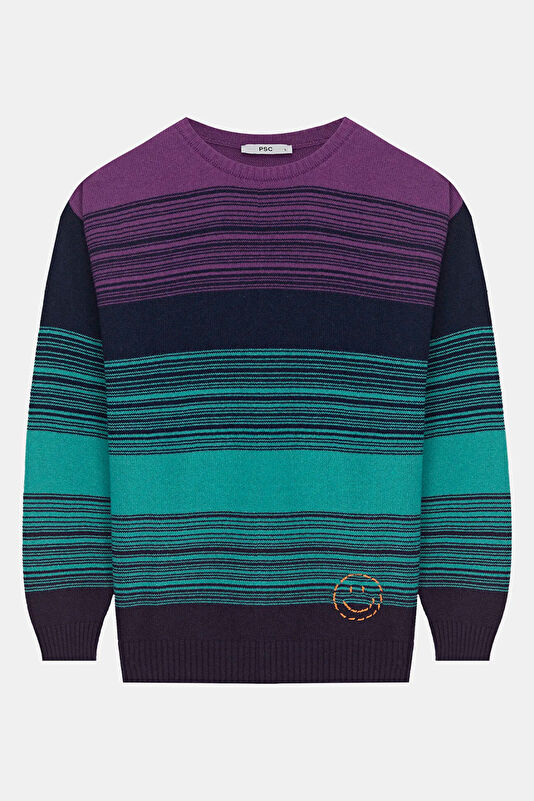 Men's Purple Striped Viscose Knit Sweater