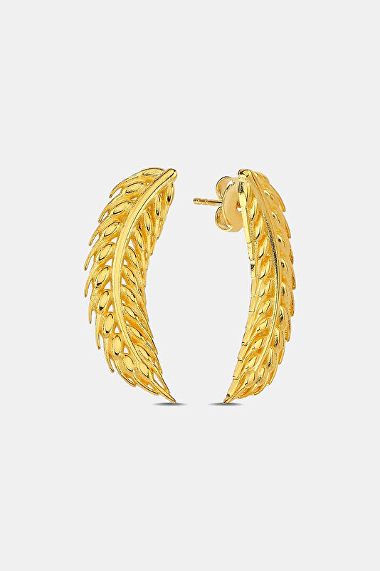 Vakkorama1 Vakkorama1