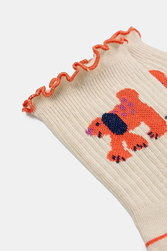 Vakkorama2 Vakkorama2