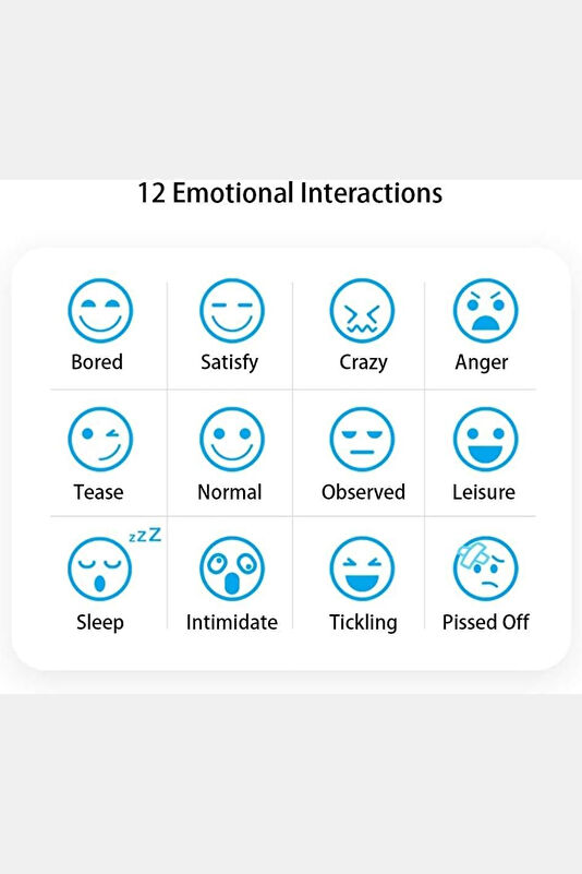 Vakkorama2 Vakkorama2