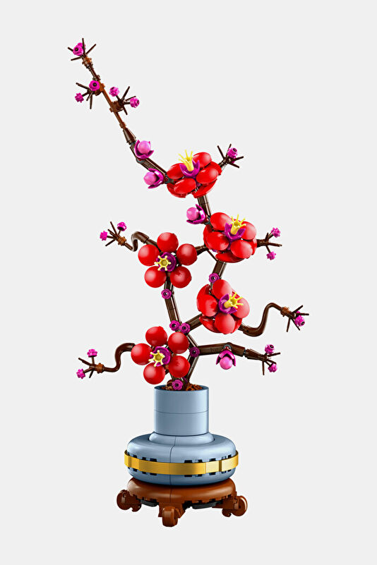 Vakkorama1 Vakkorama1