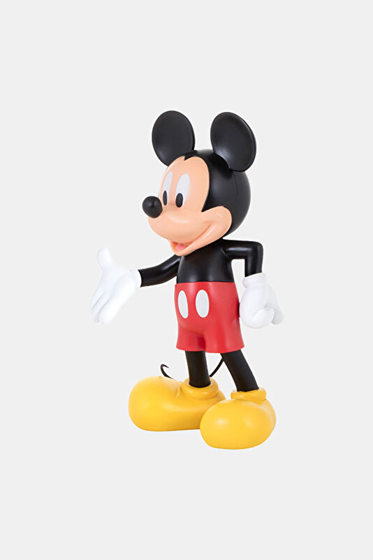 Mickey Welcome 2