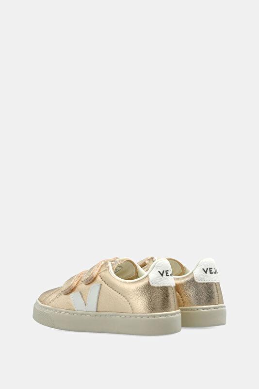 Vakkorama4 Vakkorama4