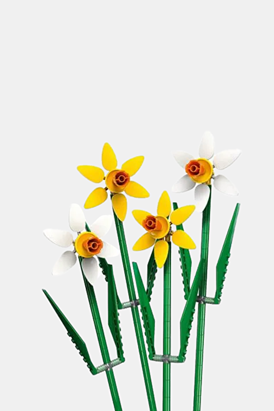 Vakkorama2 Vakkorama2