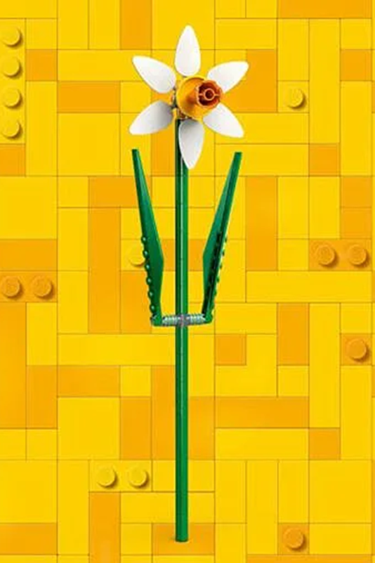 Vakkorama3 Vakkorama3