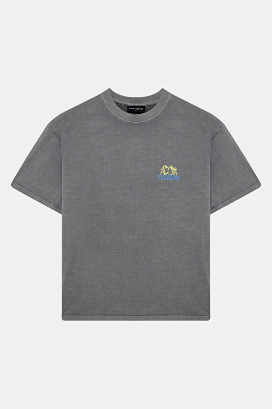 Relax Kalıp Gri Bisiklet Yaka Baskılı Erkek T-Shirt